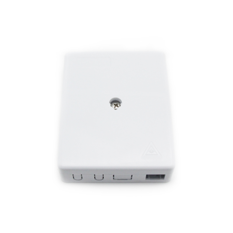 FTTH fiber faceplate 2 cores SC&LC ports