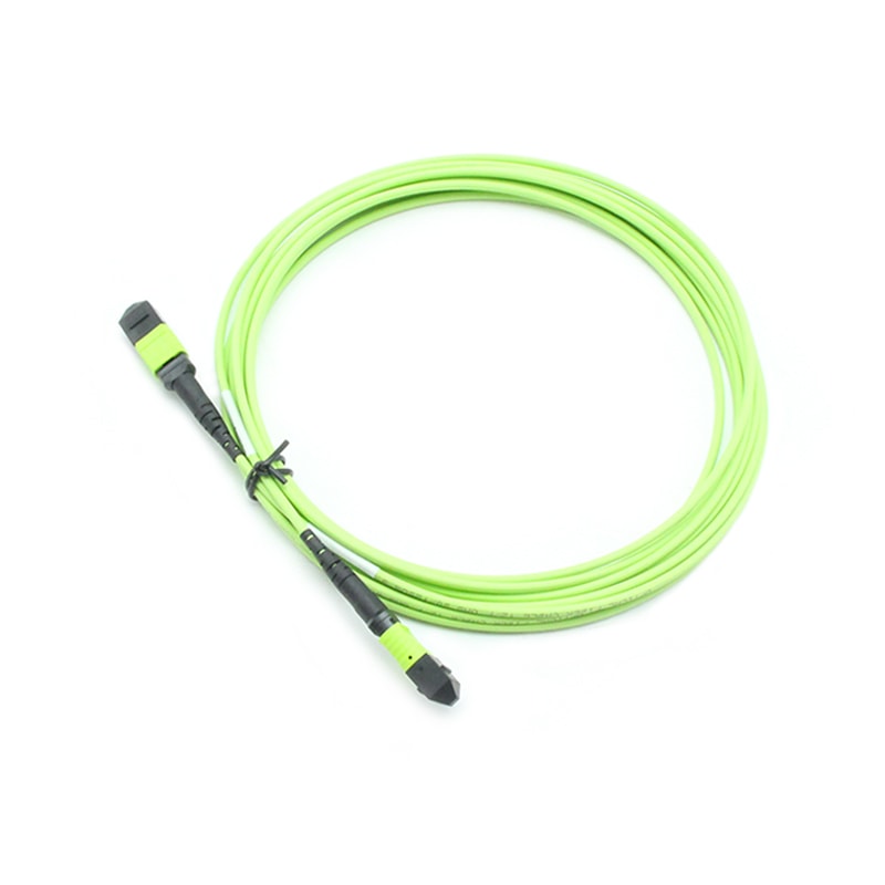 24F OM5 MTP-MTP Trunk cable