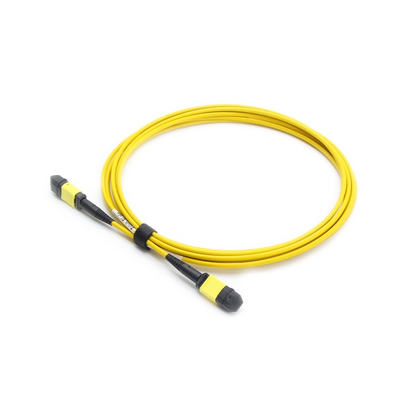 24F SM MPO-MPO Patch cord