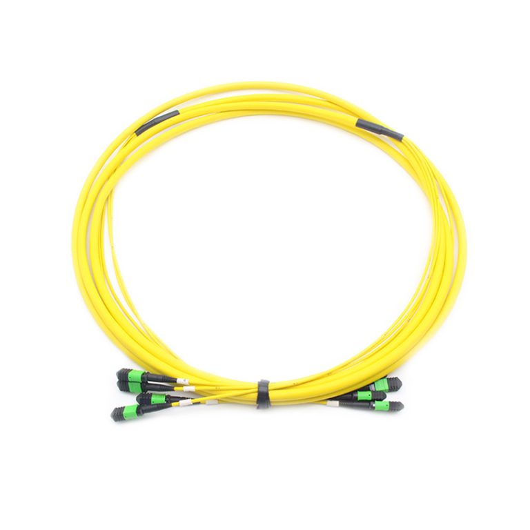 48F MPO Trunk Cable