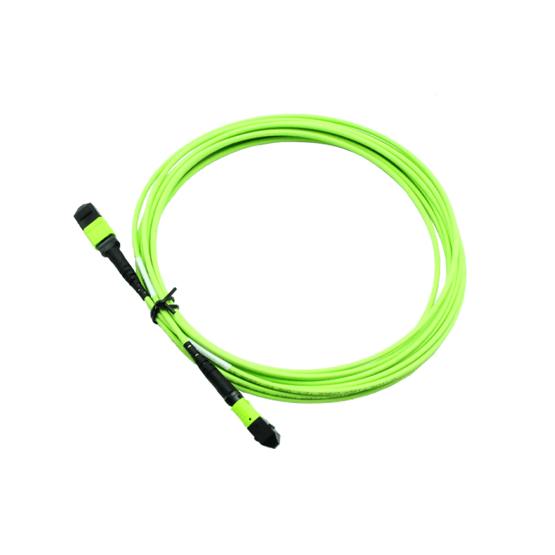12F MTP-MTP Trunk cable
