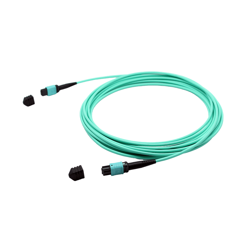 12F MPO-MPO patch cord