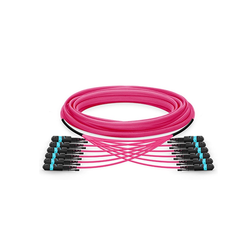 MTP-MTP trunk cable (3)
