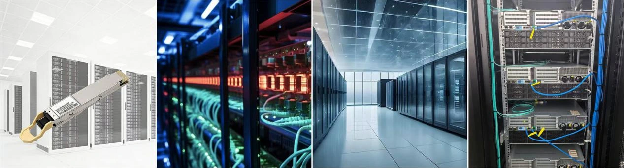 Fiber Loopback2