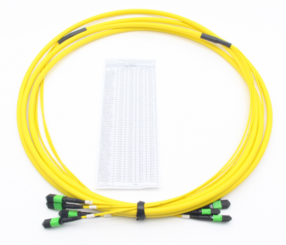 MPO cable