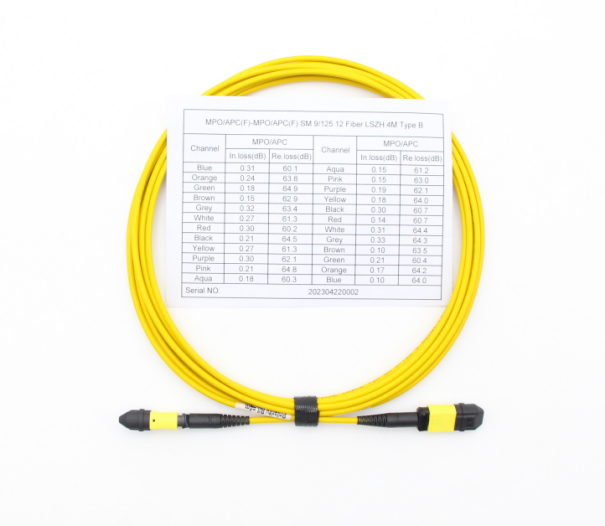 MPO cable