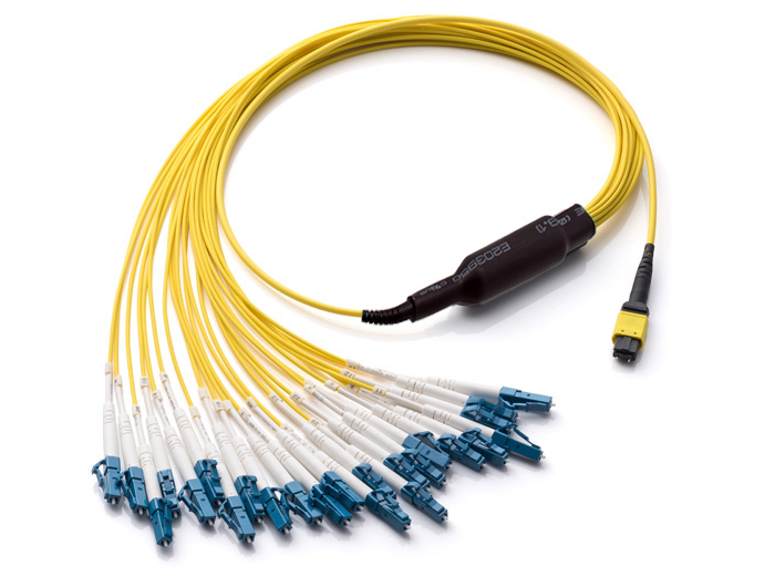 MPO cable