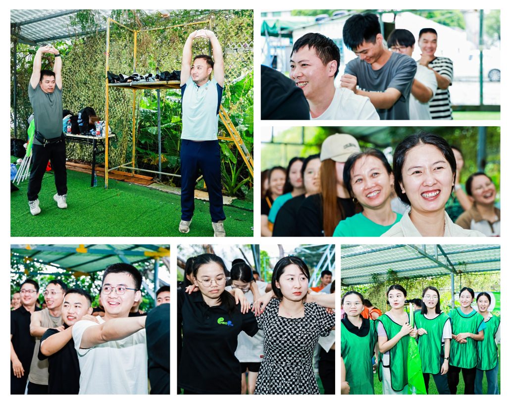 omc team building