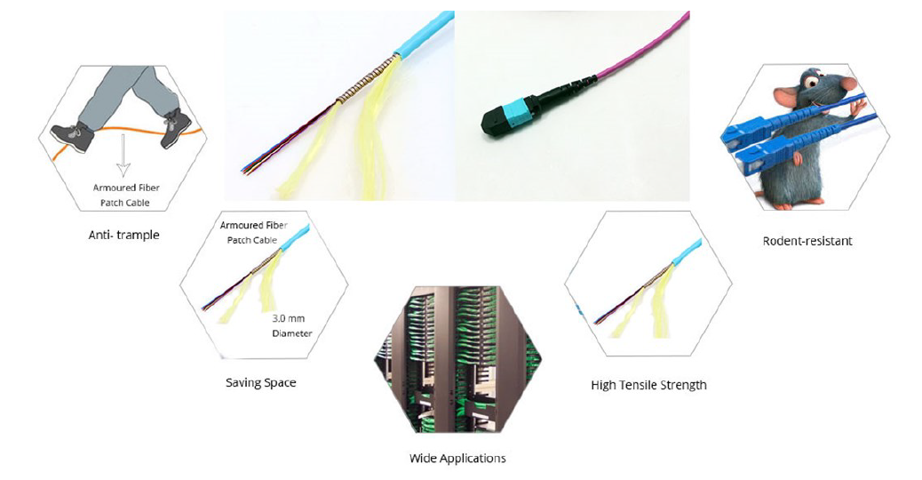Armored MPO patch cord