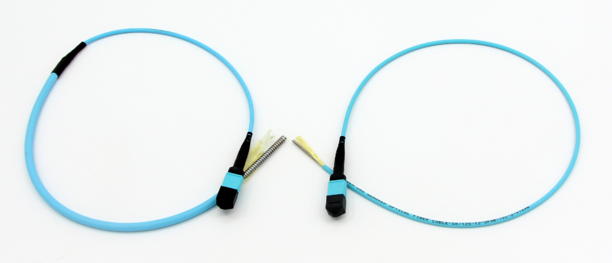 Armored MTP patch cord