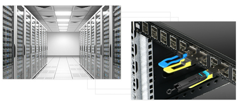 MPO loopback6