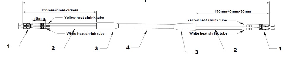 Picture1
