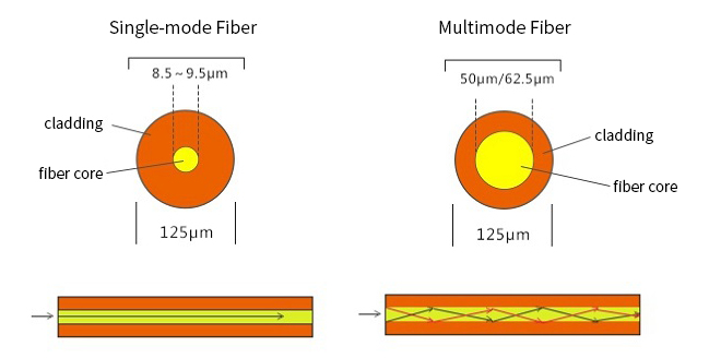 Patch Cords Example What are patch cords, their types, and uses?