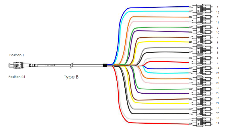 Mpo Fanout Cable11