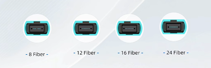 Mpo Fanout Cable5