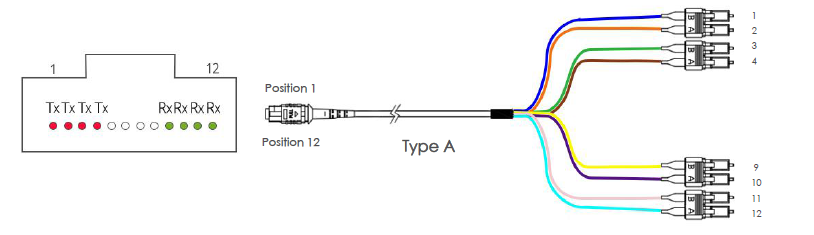 Mpo Fanout Cable6
