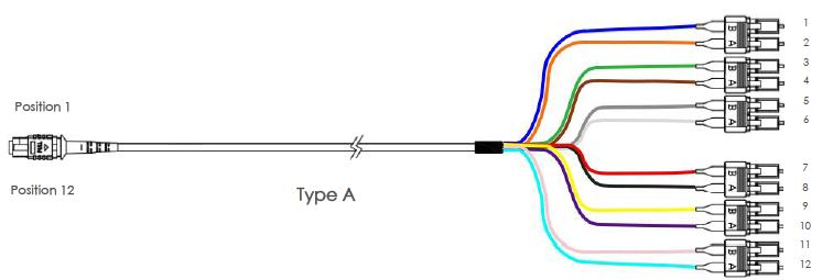 Mpo Fanout Cable7