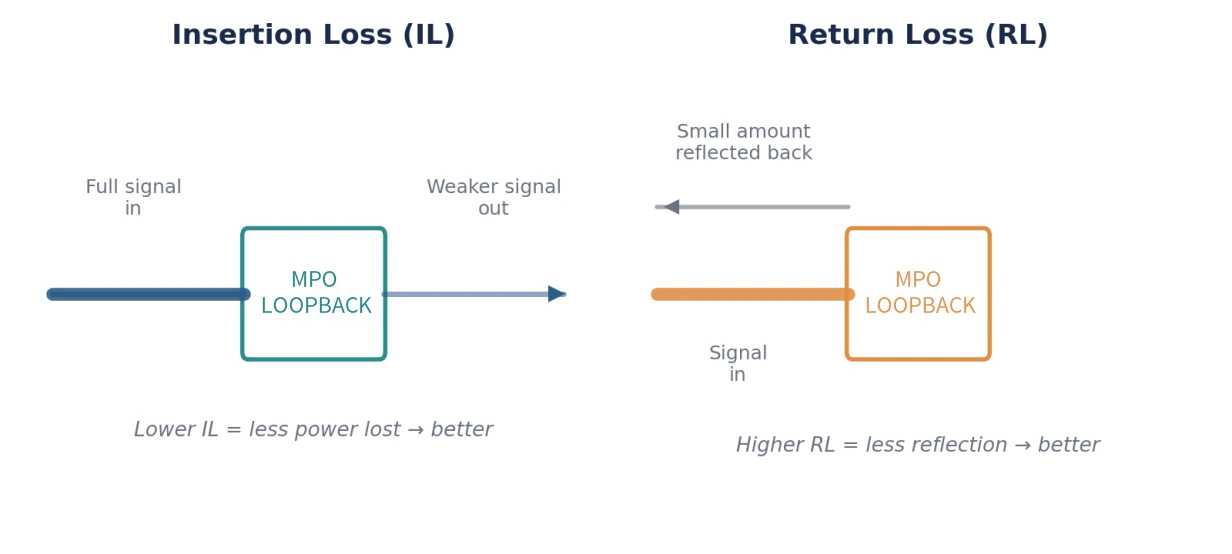 24f Mpo Loopback (2)
