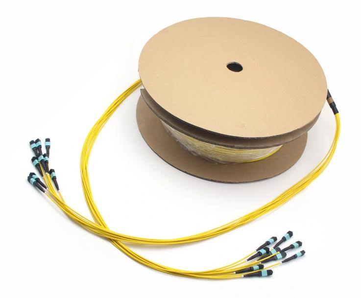 72f Mpo Trunk Cable1