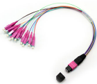 12f Mpo Lc 0.9mm Fanout 30cm