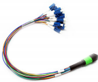 24f Mpo Lc 0.9mm Fanout 30cm